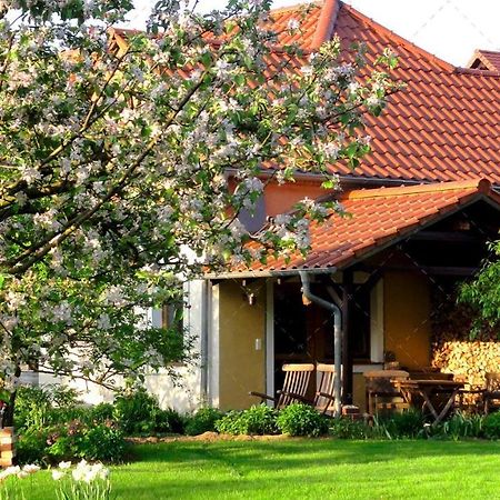 Janischs Fewo Im Spreewald, Terrasse, Grosser Garten Und Blick Inklusive Unterspreewald Εξωτερικό φωτογραφία