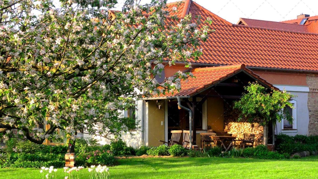 Janischs Fewo Im Spreewald, Terrasse, Grosser Garten Und Blick Inklusive Unterspreewald Εξωτερικό φωτογραφία