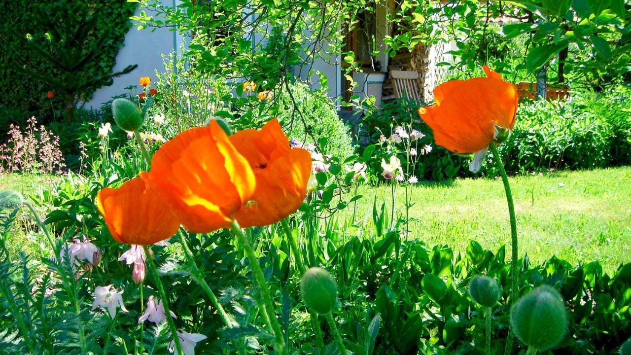Janischs Fewo Im Spreewald, Terrasse, Grosser Garten Und Blick Inklusive Unterspreewald Εξωτερικό φωτογραφία