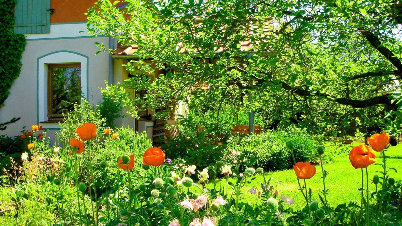 Janischs Fewo Im Spreewald, Terrasse, Grosser Garten Und Blick Inklusive Unterspreewald Εξωτερικό φωτογραφία