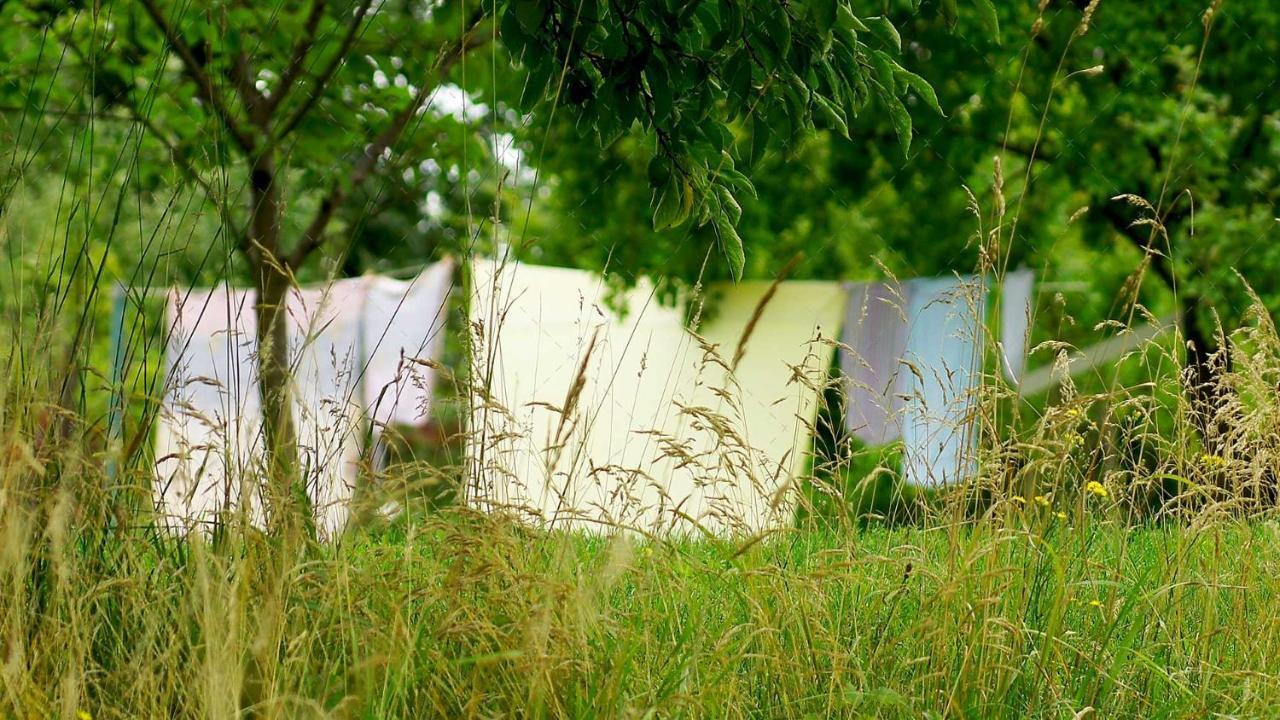 Janischs Fewo Im Spreewald, Terrasse, Grosser Garten Und Blick Inklusive Unterspreewald Εξωτερικό φωτογραφία