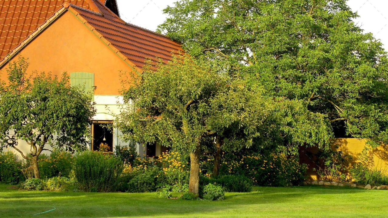 Janischs Fewo Im Spreewald, Terrasse, Grosser Garten Und Blick Inklusive Unterspreewald Εξωτερικό φωτογραφία