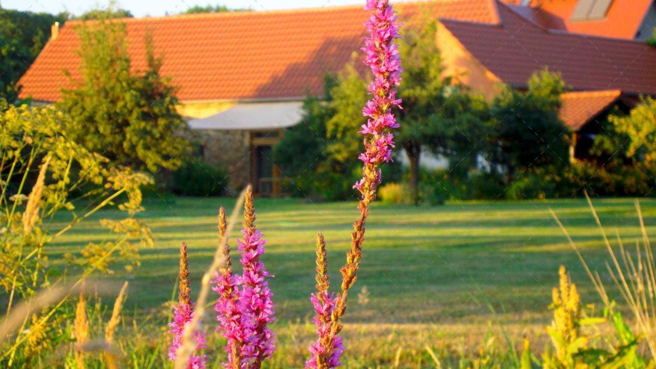 Janischs Fewo Im Spreewald, Terrasse, Grosser Garten Und Blick Inklusive Unterspreewald Εξωτερικό φωτογραφία
