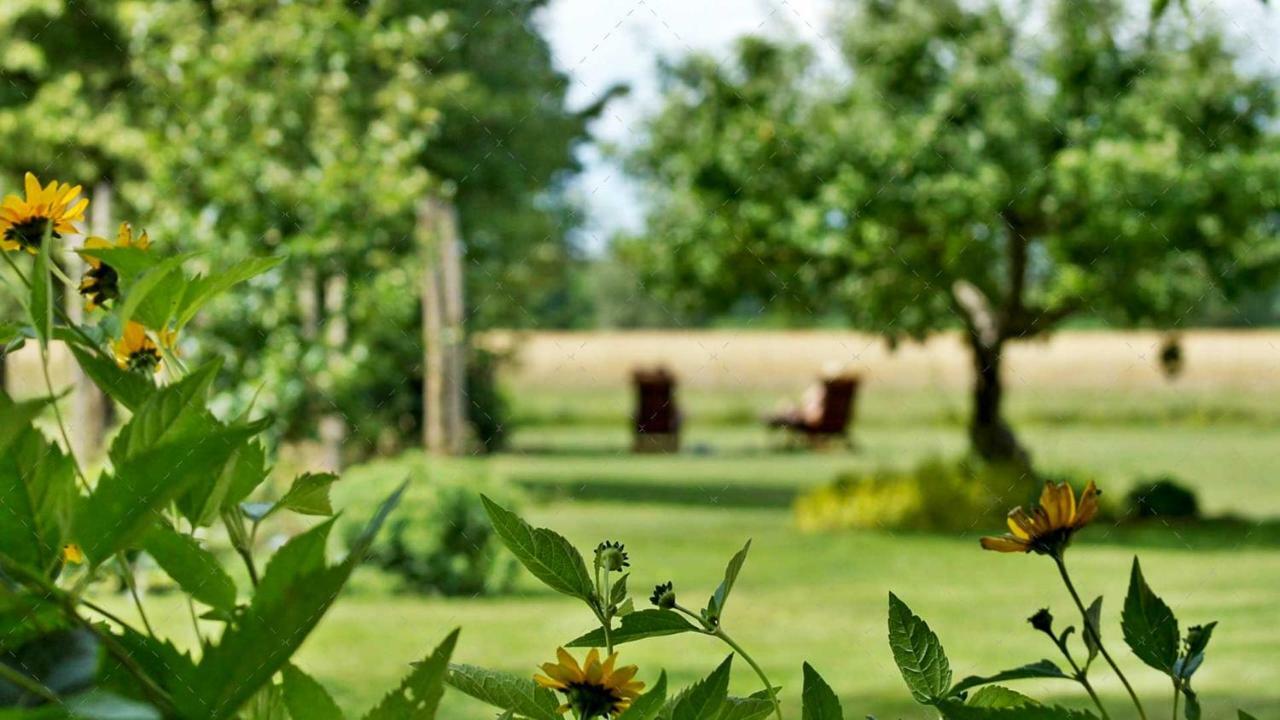 Janischs Fewo Im Spreewald, Terrasse, Grosser Garten Und Blick Inklusive Unterspreewald Εξωτερικό φωτογραφία