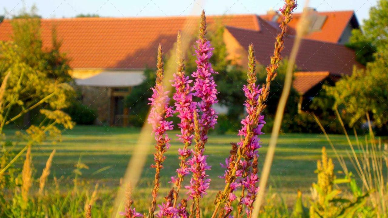 Janischs Fewo Im Spreewald, Terrasse, Grosser Garten Und Blick Inklusive Unterspreewald Εξωτερικό φωτογραφία