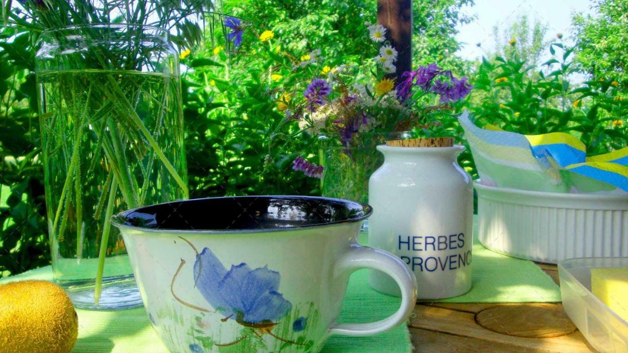 Janischs Fewo Im Spreewald, Terrasse, Grosser Garten Und Blick Inklusive Unterspreewald Εξωτερικό φωτογραφία